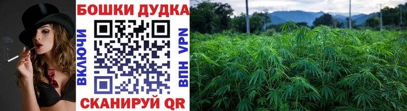 Марихуана THC 21%  Купить где  Инсар 